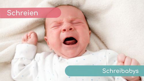 Hilfe bei Schreibabys.