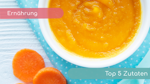 Die Top 5 Zutaten des Gemüse-Kartoffel-Fleisch-Breis